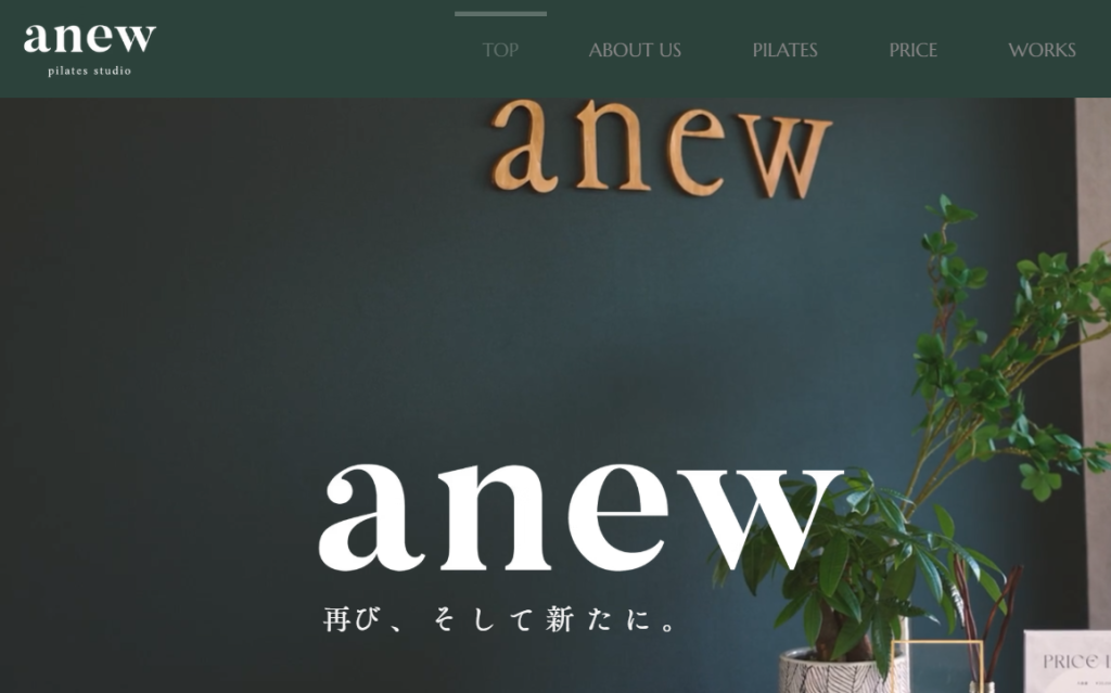 anew pilates studio