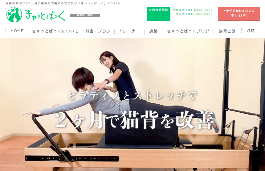 きゃっとばっく神楽坂店